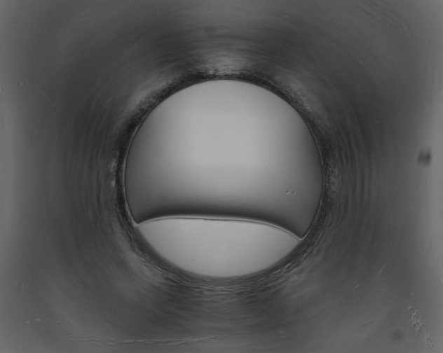 X0000094060543200710190935