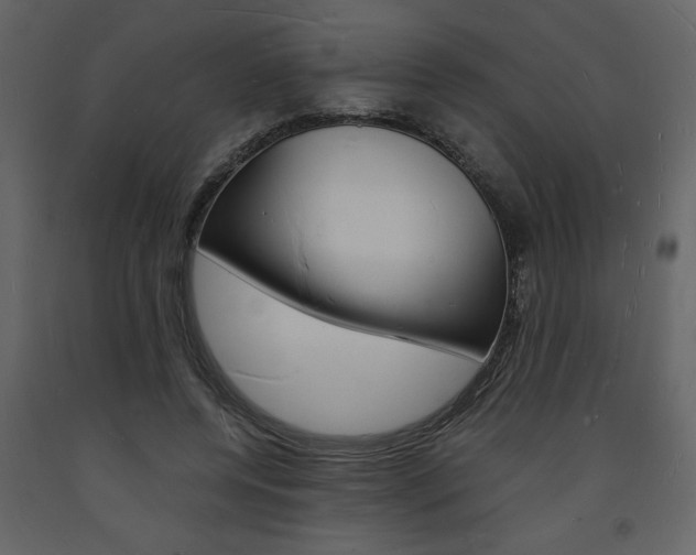 X0000094060544200710190935