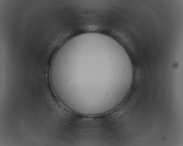X0000094060545200710190935