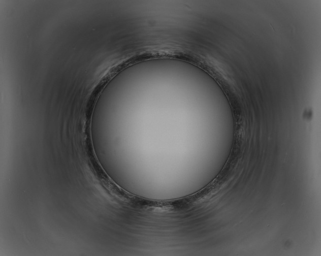 X0000094060548200710190935