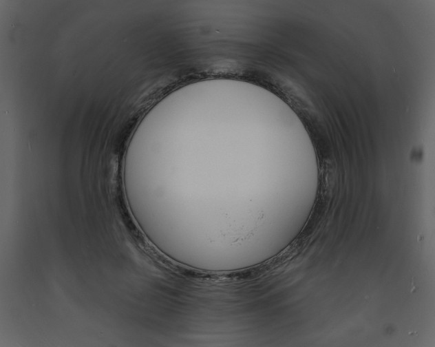 X0000094060550200710190935