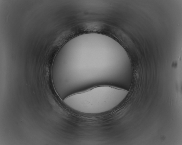 X0000094060551200710190935