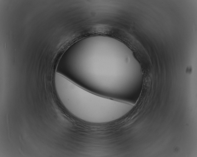 X0000094060552200710190935