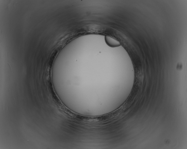 X0000094060554200710190935