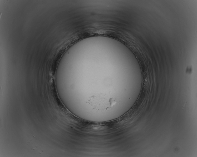 X0000094060555200710190935