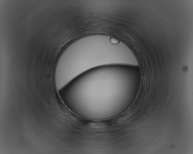 X0000094060556200710190935
