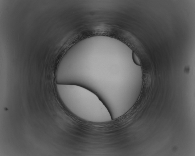 X0000094060557200710190935