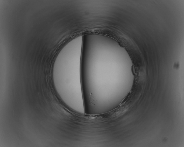 X0000094060558200710190935
