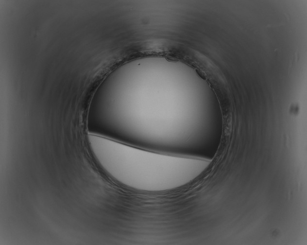 X0000094060560200710190935