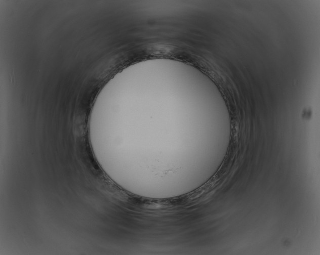 X0000094060561200710190935