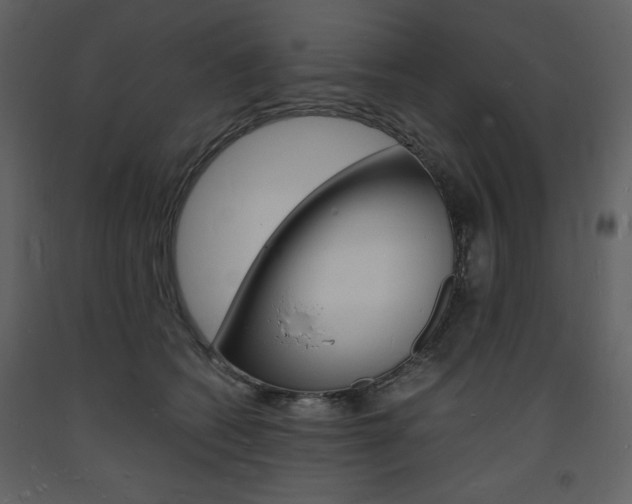X0000094060562200710190936