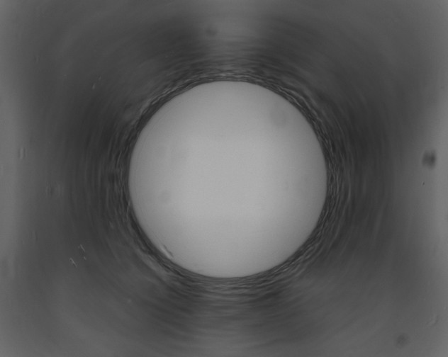 X0000094060564200710190936