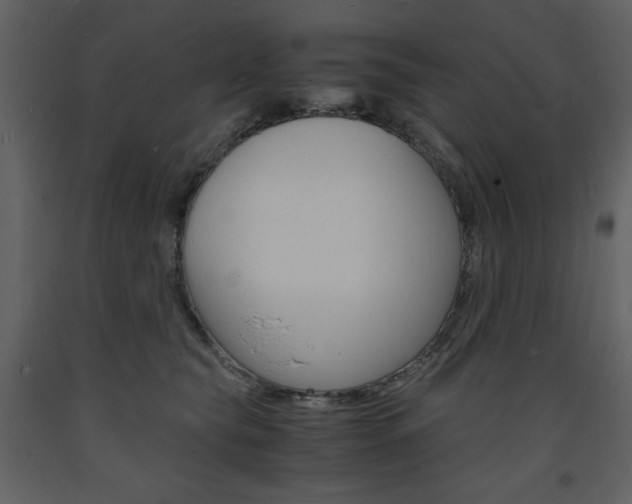 X0000094060565200710190936