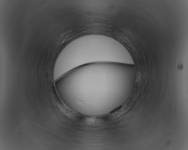 X0000094060568200710190936