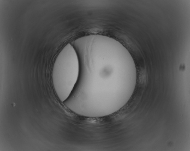 X0000094060569200710190936
