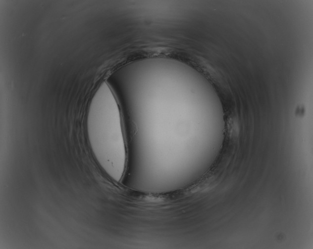 X0000094060570200710190936