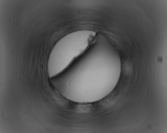 X0000094060571200710190936