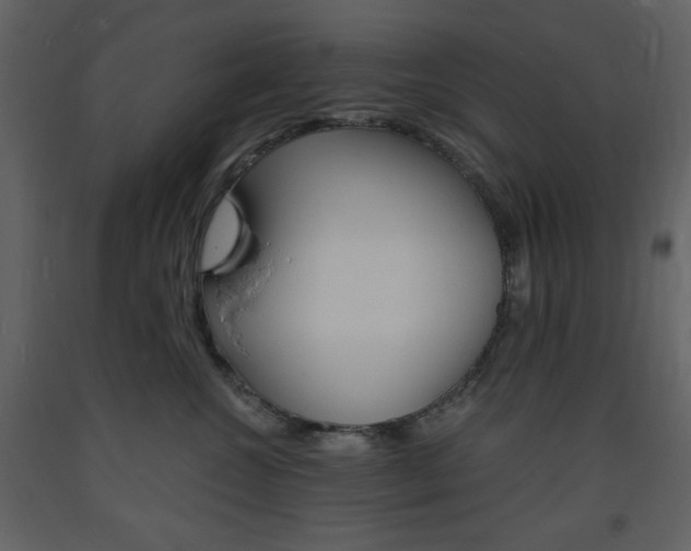 X0000094060572200710190936