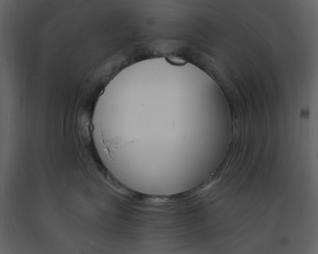 X0000094060575200710190936