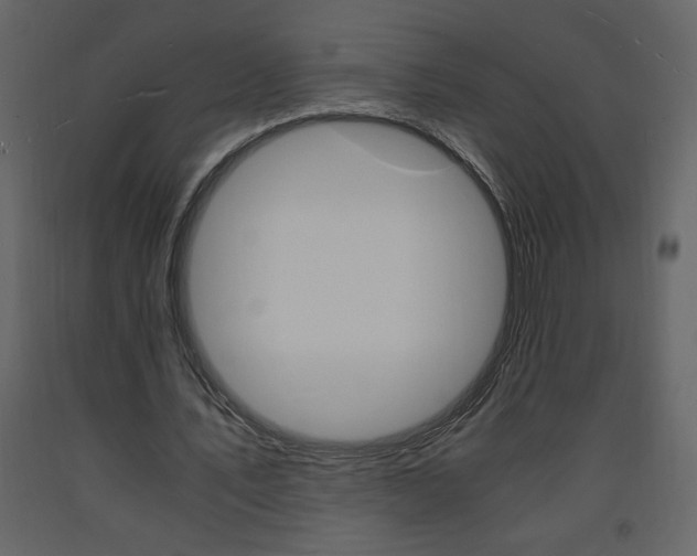 X0000094060579200710190935