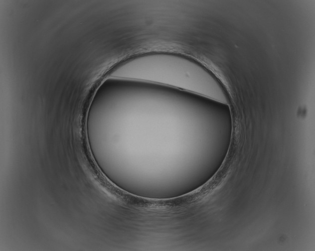 X0000094060581200710190935