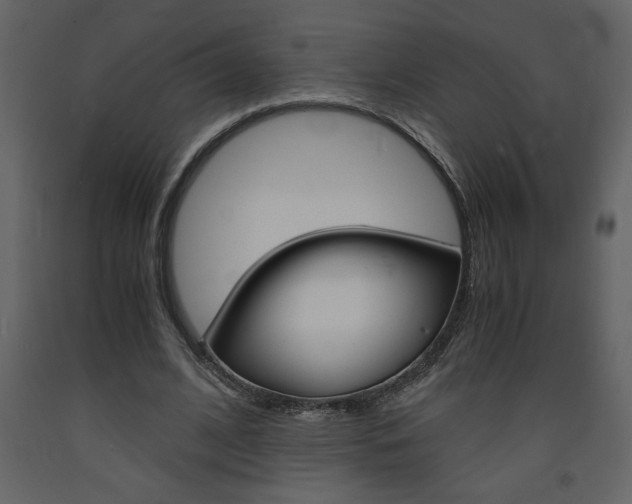 X0000094060584200710190935