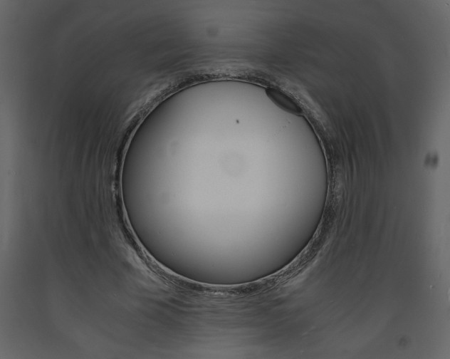 X0000094060585200710190935