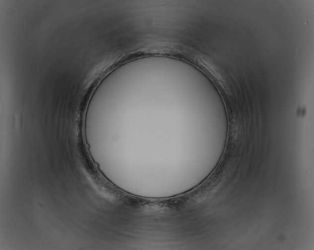 X0000094060586200710190935