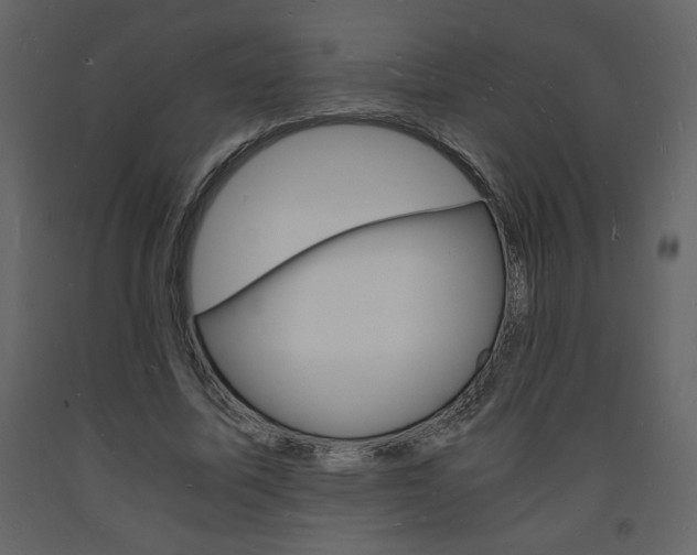 X0000094060587200710190935