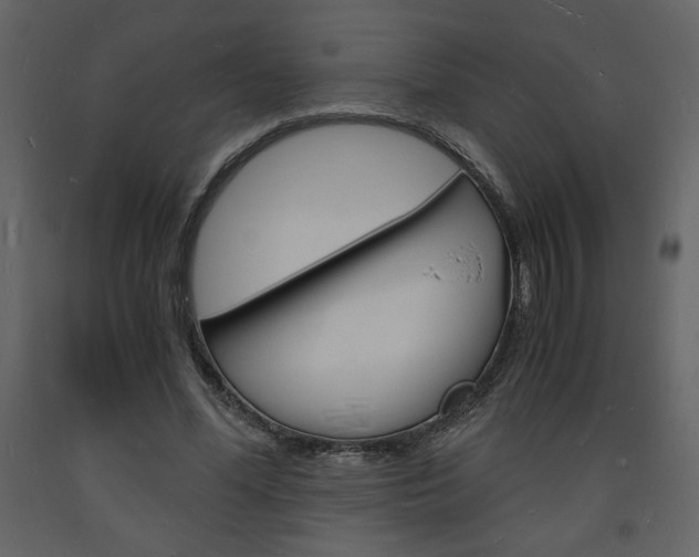X0000094060588200710190935