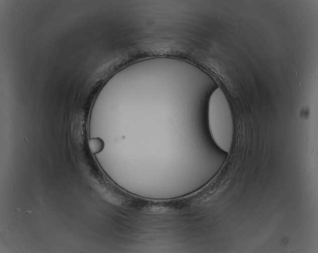 X0000094060590200710190935