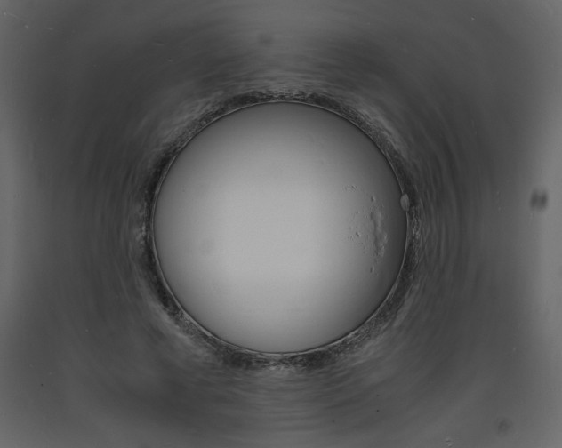 X0000094060593200710190935