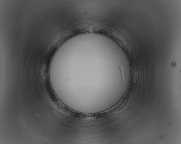 X0000094060594200710190935
