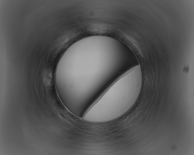 X0000094060596200710190935