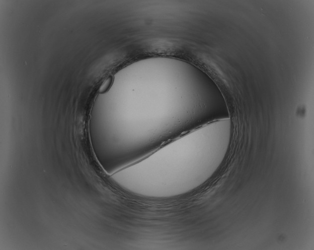 X0000094060597200710190935