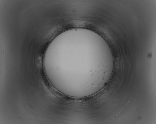 X0000094060598200710190935