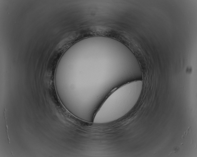 X0000094060599200710190935