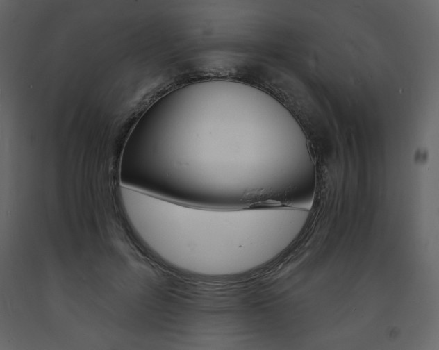 X0000094060600200710190935