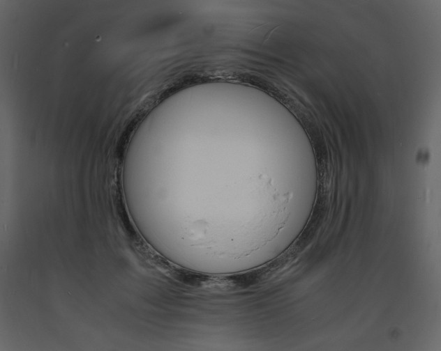 X0000094060603200710190935