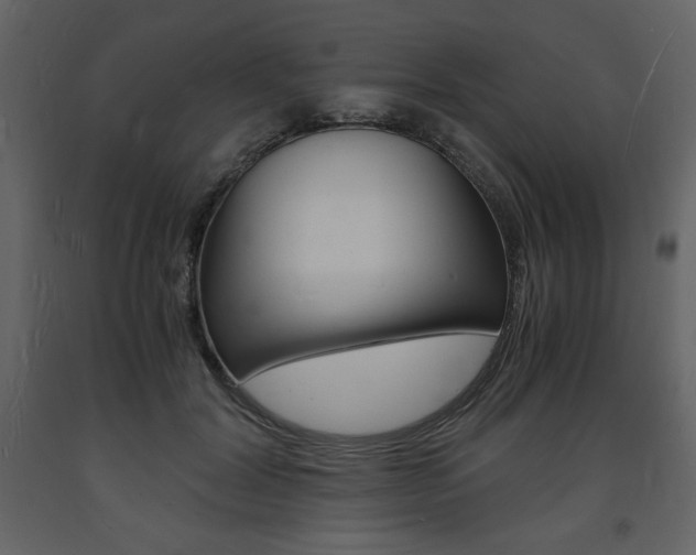 X0000094060604200710190934