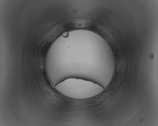 X0000094060606200710190934