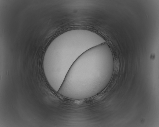 X0000094060609200710190934