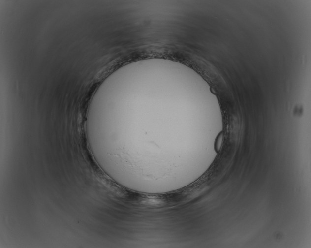 X0000094060610200710190934