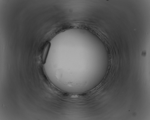 X0000094060611200710190934