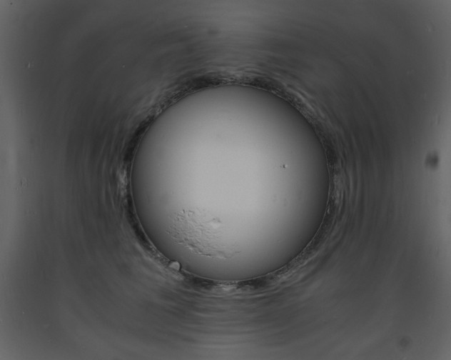 X0000094060613200710190934