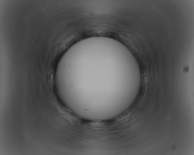 X0000094060615200710190934