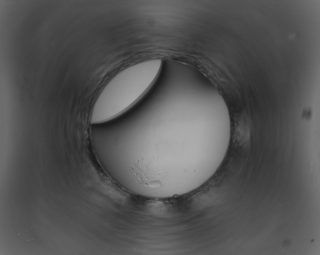 X0000094060616200710190934