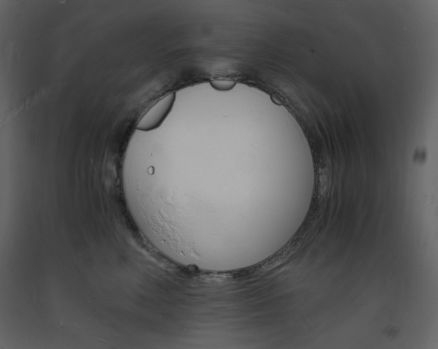 X0000094060618200710190934