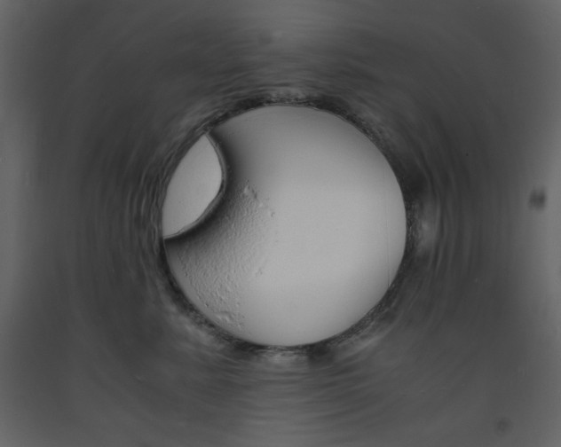 X0000094060619200710190934