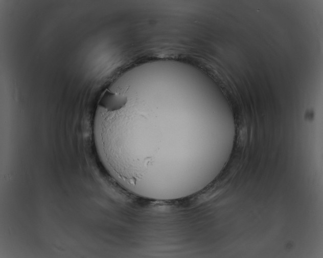 X0000094060620200710190934